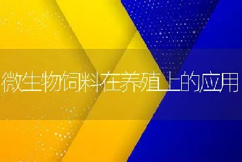 虹鳟鱼传染性胰脏坏死病症状及防治