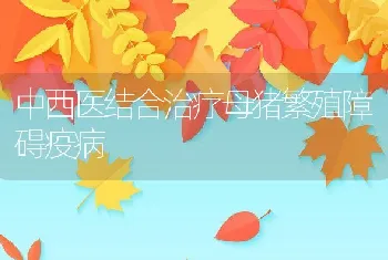 中西医结合治疗母猪繁殖障碍疫病