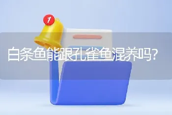 白条鱼能跟孔雀鱼混养吗？