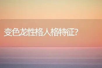 猫走丢了可以查监控吗？