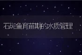 石斑鱼育苗期的水质管理