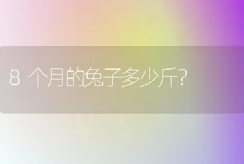 8个月的兔子多少斤？