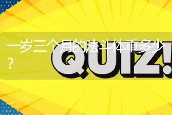 一岁三个月的法斗体重多少？