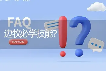 边牧必学技能？