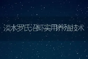 淡水罗氏沼虾实用养殖技术