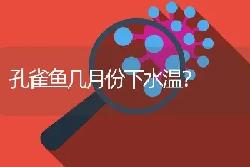 孔雀鱼几月份下水温？