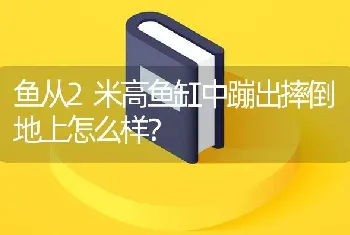 鱼从2米高鱼缸中蹦出摔倒地上怎么样？