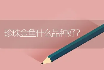 孔雀鱼能长多少厘米？