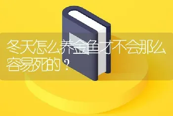 冬天怎么养金鱼才不会那么容易死的？