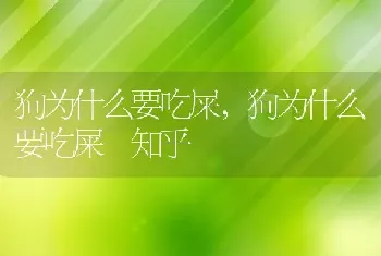 狗为什么要吃屎，狗为什么要吃屎 知乎