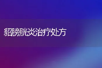 貂膀胱炎治疗处方