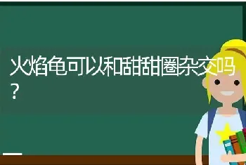 狗狗呼吸急促后肢无力怎么回事？