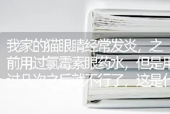 请问京巴和蝴蝶犬的寿命有多长？