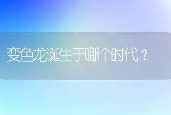 起司加白和长毛蓝猫会配什么猫？