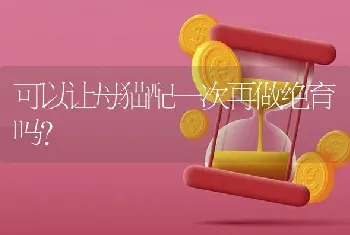 金毛犬取什么名字好听？