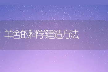 羊舍的科学建造方法