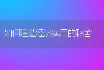 如何建造经济实用的鸭舍