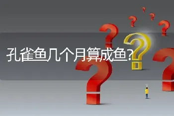 孔雀鱼几个月算成鱼？