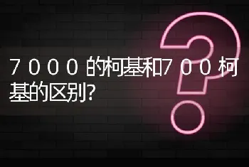 7000的柯基和700柯基的区别？