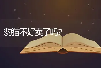 豹猫不好卖了吗？