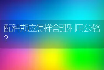 配种期应怎样合理利用公貉？