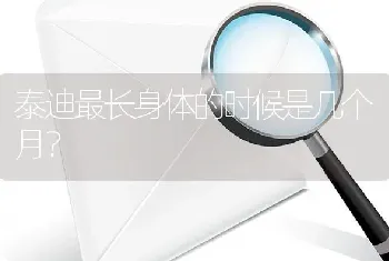 2020最火德国牧羊犬名字？