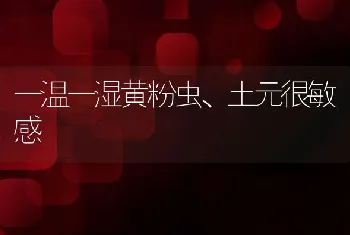 一温一湿黄粉虫、土元很敏感