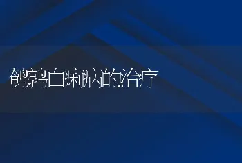 鹌鹑白痢病的治疗