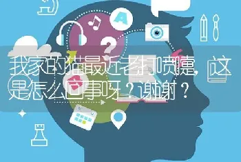 我家的猫最近老打喷嚏，这是怎么回事呀？谢谢？