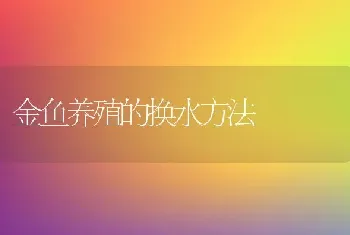 金鱼养殖的换水方法