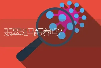 刚果美人吃不吃小鱼？