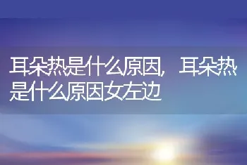 耳朵热是什么原因，耳朵热是什么原因女左边