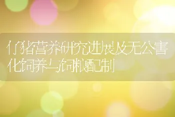 仔猪营养研究进展及无公害化饲养与饲粮配制