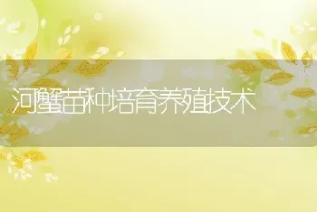 河蟹苗种培育养殖技术