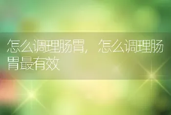 怎么调理肠胃，怎么调理肠胃最有效