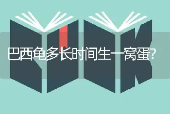 巴西龟多长时间生一窝蛋？