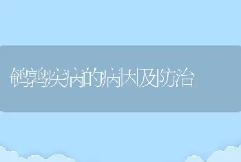 鹌鹑疾病的病因及防治