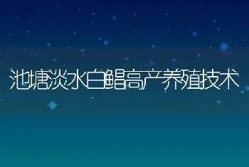 池塘淡水白鲳高产养殖技术