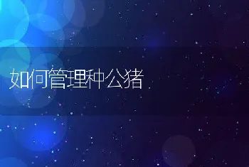 鹌鹑常见病的防治方法