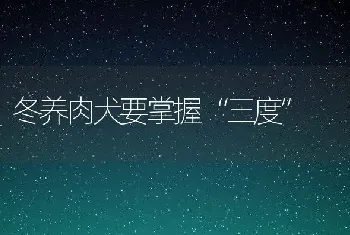 鹌鹑常见疾病的防治