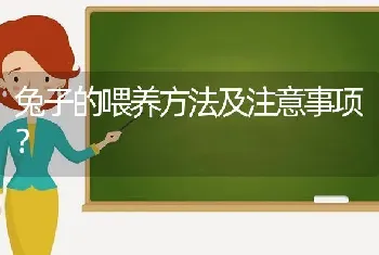 兔子的喂养方法及注意事项？