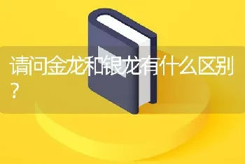 请问金龙和银龙有什么区别？