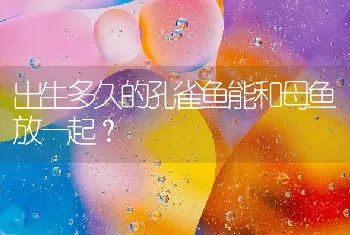 出生多久的孔雀鱼能和母鱼放一起？