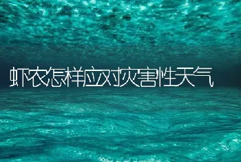 虾农怎样应对灾害性天气