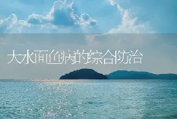 大水面鱼病的综合防治