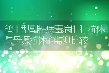 鸽Ⅰ型副粘病毒病Hl抗体与母源抗体的监测比较