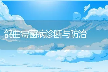 鸽曲霉菌病诊断与防治