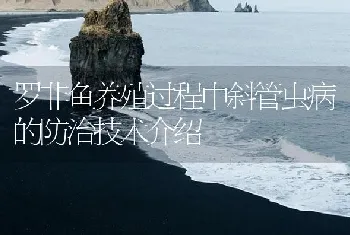 罗非鱼养殖过程中斜管虫病的防治技术介绍