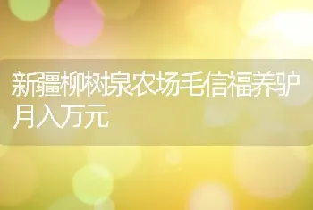 新疆柳树泉农场毛信福养驴月入万元