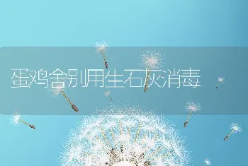 蛋鸡舍别用生石灰消毒